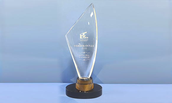 2020年9月18日，科亚医疗荣获“2020安永复旦中国最具潜力种子企业”奖